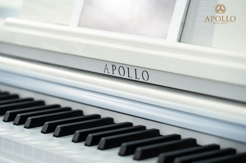 Ảnh chụp màn hình 2025-05-23 084538