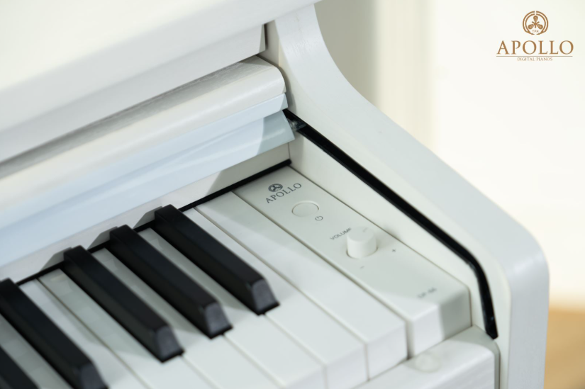 Ảnh chụp màn hình 2025-05-23 084603