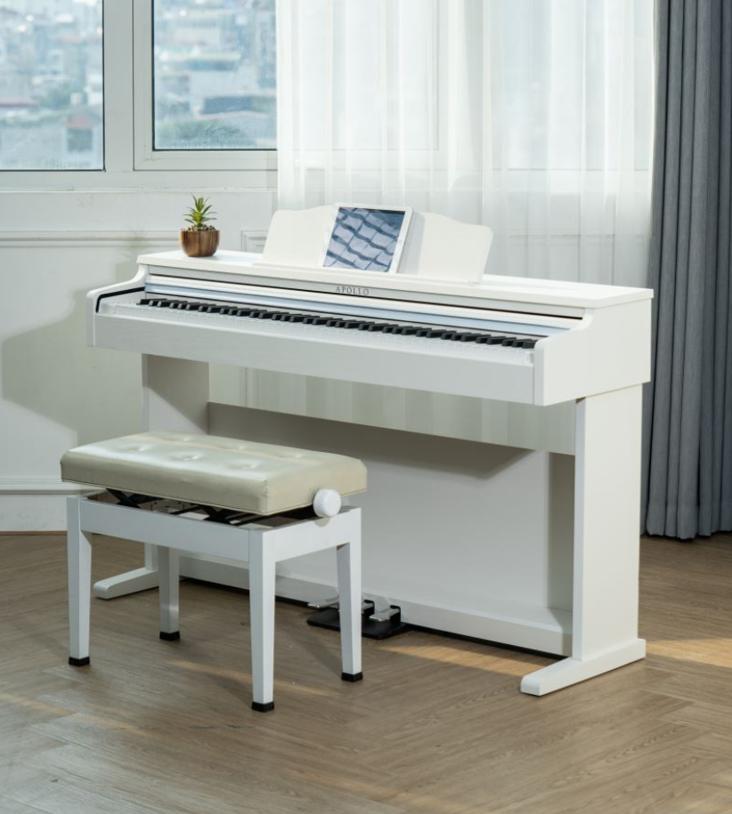 Ảnh chụp màn hình 2025-05-23 084621